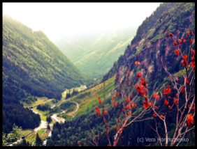 Bergwandern, Sulzenauhütte, Blick ins Tal, Landschaft, Natur