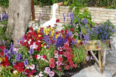 Gardasee - Sirmione - Farbenprächtiges Blumenarrangement - Veras Fotoblog